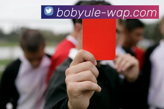 BOB官方网站APP 封面图
