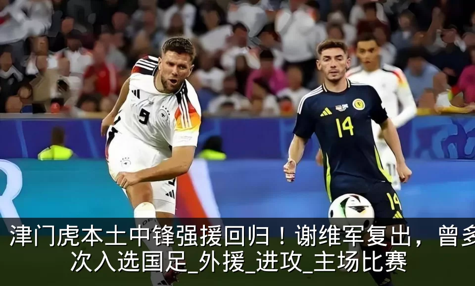 津门虎本土中锋强援回归！谢维军复出，曾多次入选国足_外援_进攻_主场比赛